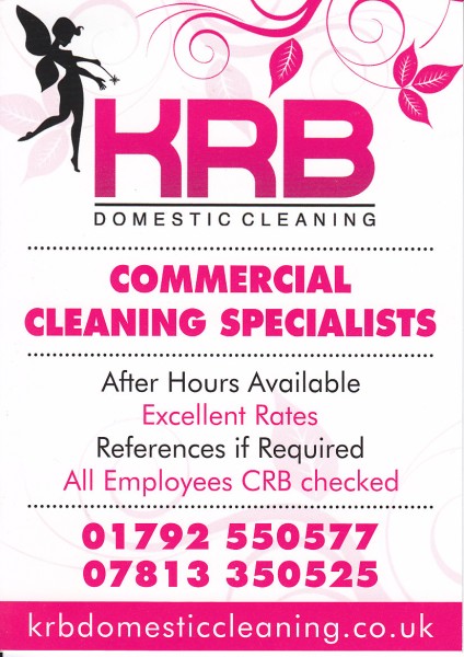 jrb domestic cleaning