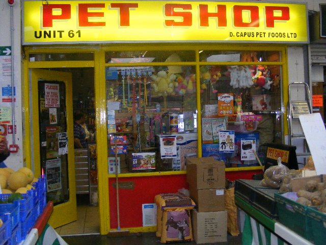 pet shop swansea market