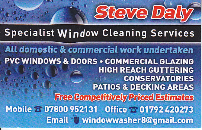 Steve Daley Swansea window cleaner biz card